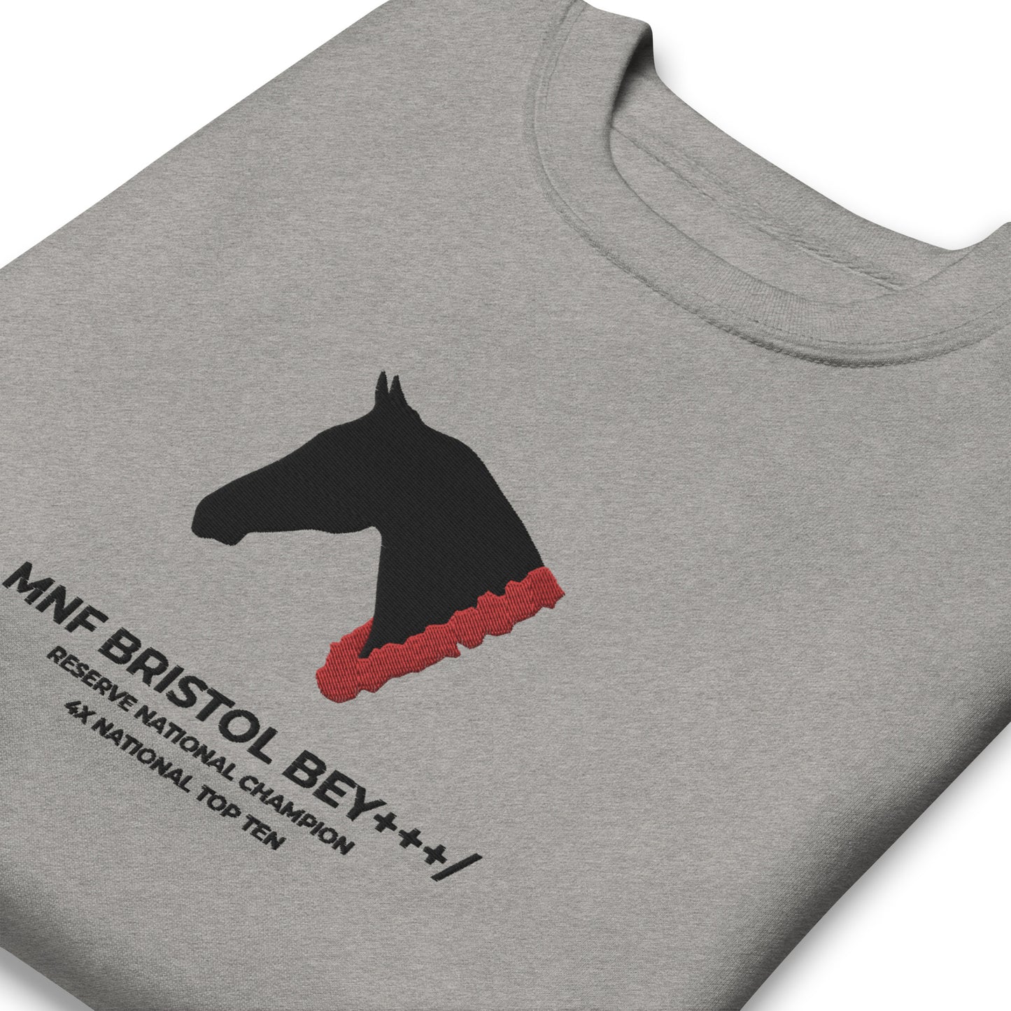 Roses & Ribbons / Large Center Embroidered Custom Horse Sweatshirt
