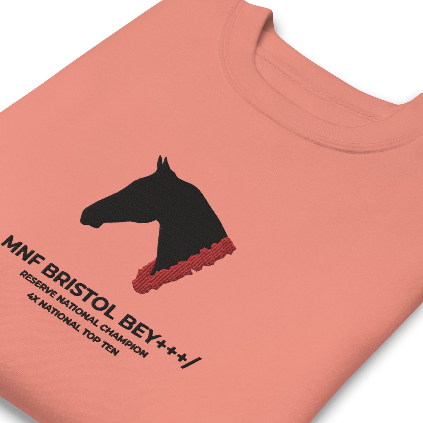 Roses & Ribbons / Large Center Embroidered Custom Horse Sweatshirt