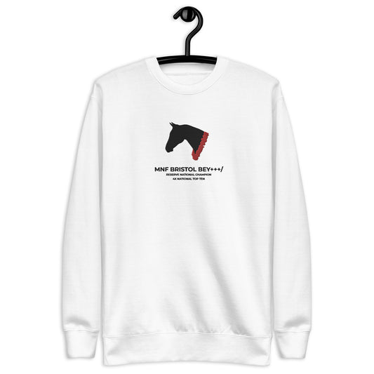 Roses & Ribbons / Large Center Embroidered Custom Horse Sweatshirt