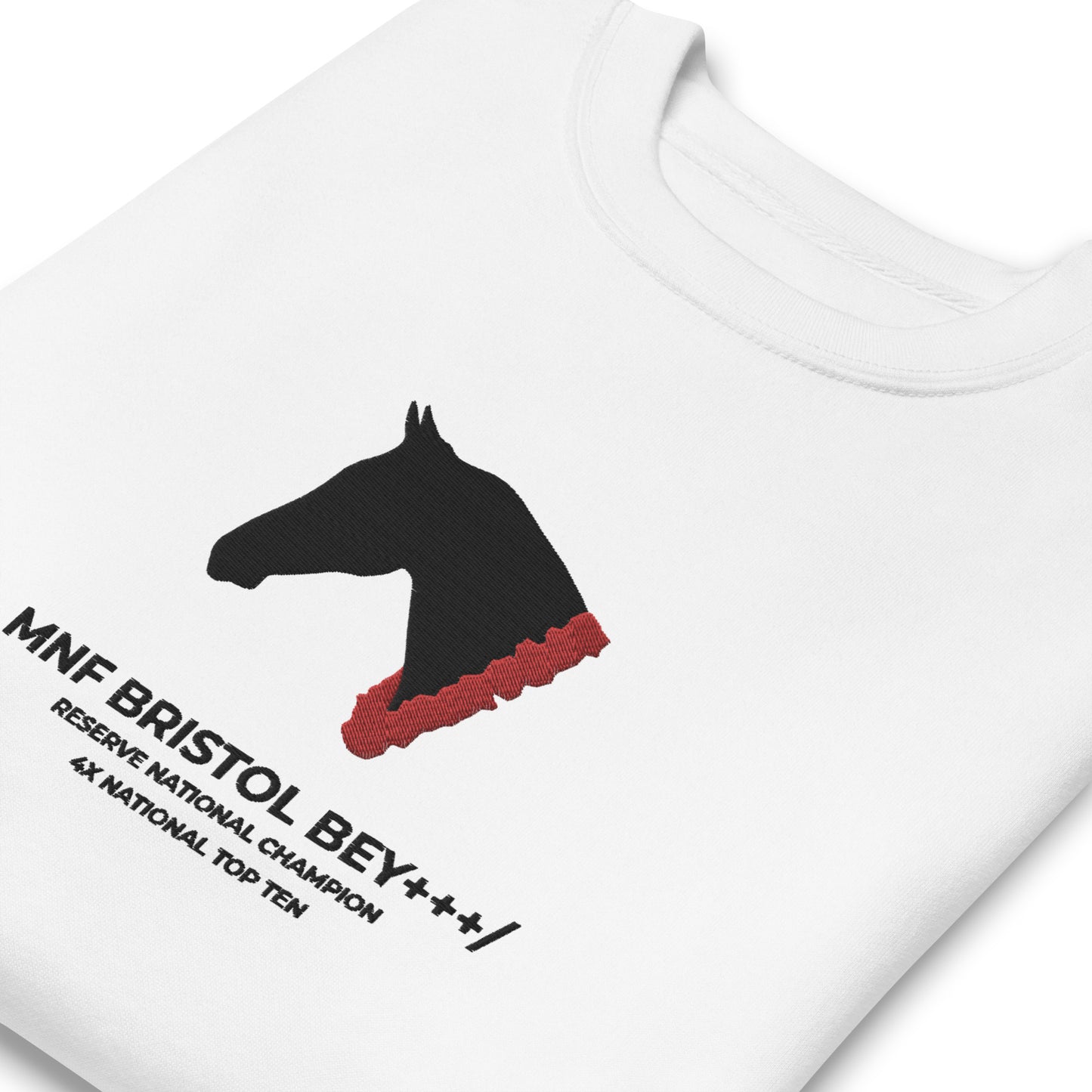 Roses & Ribbons / Large Center Embroidered Custom Horse Sweatshirt