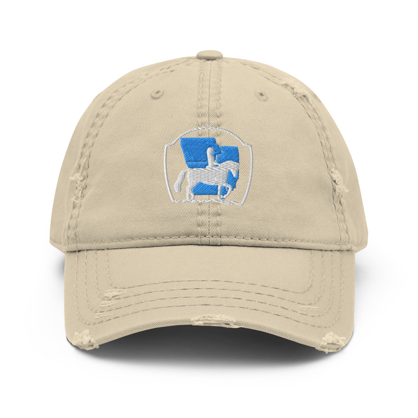 Distressed Baseball Cap